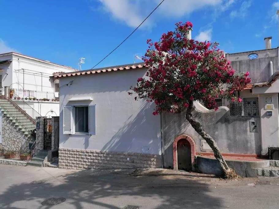 Sweet Home, Anacapri Exterior foto